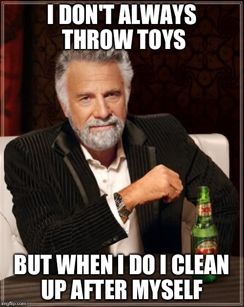 The Most Interesting Man In The World Meme | I DON'T ALWAYS THROW TOYS; BUT WHEN I DO I CLEAN UP AFTER MYSELF | image tagged in memes,the most interesting man in the world | made w/ Imgflip meme maker