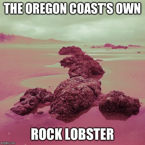 Oregon Coast Rock Lobster | THE OREGON COAST'S OWN; ROCK LOBSTER | image tagged in oregon,beach,lobster,scenic | made w/ Imgflip meme maker