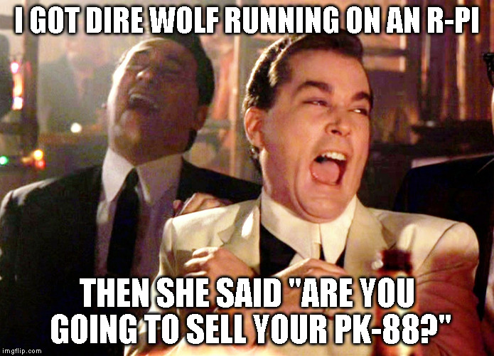 Good Fellas Hilarious Meme | I GOT DIRE WOLF RUNNING ON AN R-PI; THEN SHE SAID "ARE YOU GOING TO SELL YOUR PK-88?" | image tagged in memes,good fellas hilarious | made w/ Imgflip meme maker