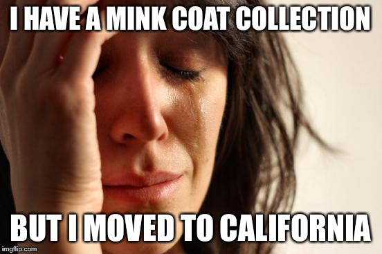First World Problems Meme | I HAVE A MINK COAT COLLECTION; BUT I MOVED TO CALIFORNIA | image tagged in memes,first world problems | made w/ Imgflip meme maker