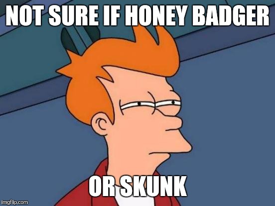 Futurama Fry Meme | NOT SURE IF HONEY BADGER; OR SKUNK | image tagged in memes,futurama fry | made w/ Imgflip meme maker