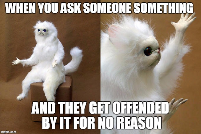 Has this ever happened to you? | WHEN YOU ASK SOMEONE SOMETHING; AND THEY GET OFFENDED BY IT FOR NO REASON | image tagged in funny,memes,persian cat room guardian,cats,people | made w/ Imgflip meme maker