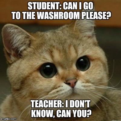 Do you think this is a motherfucking game | STUDENT: CAN I GO TO THE WASHROOM PLEASE? TEACHER: I DON'T KNOW, CAN YOU? | image tagged in do you think this is a motherfucking game,AdviceAnimals | made w/ Imgflip meme maker
