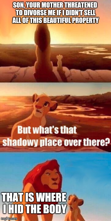 Simba Shadowy Place Meme | SON, YOUR MOTHER THREATENED TO DIVORSE ME IF I DIDN'T SELL ALL OF THIS BEAUTIFUL PROPERTY; THAT IS WHERE I HID THE BODY | image tagged in memes,simba shadowy place | made w/ Imgflip meme maker