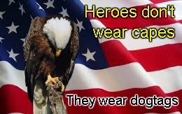 Heroes don't wear capes; they wear dogtags | Heroes don't; wear capes; They wear dogtags | image tagged in eagle with bowed head | made w/ Imgflip meme maker