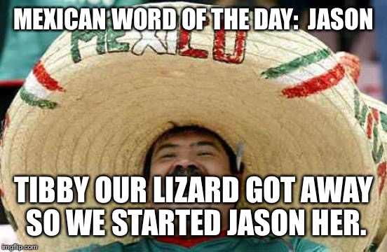 Happy Mexican | MEXICAN WORD OF THE DAY:  JASON; TIBBY OUR LIZARD GOT AWAY SO WE STARTED JASON HER. | image tagged in happy mexican | made w/ Imgflip meme maker