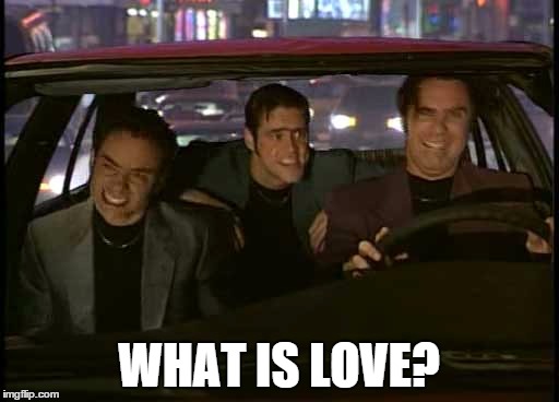 WHAT IS LOVE? | image tagged in what is love snl | made w/ Imgflip meme maker