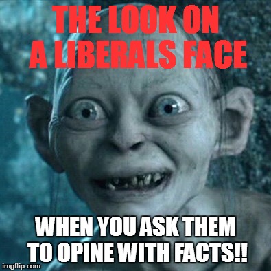 Gollum | THE LOOK ON A LIBERALS FACE; WHEN YOU ASK THEM TO OPINE WITH FACTS!! | image tagged in memes,gollum | made w/ Imgflip meme maker
