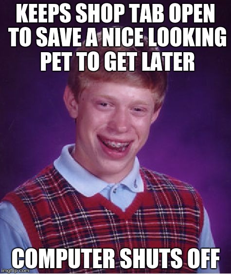 Bad Luck Brian Meme | KEEPS SHOP TAB OPEN TO SAVE A NICE LOOKING PET TO GET LATER; COMPUTER SHUTS OFF | image tagged in memes,bad luck brian | made w/ Imgflip meme maker