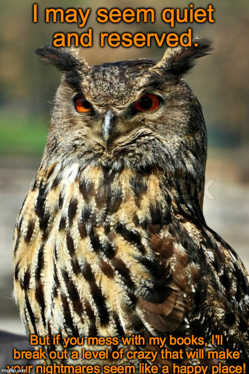 Great horned owl | I may seem quiet and reserved. But if you mess with my books, I'll break out a level of crazy that will make your nightmares seem like a happy place! | image tagged in great horned owl | made w/ Imgflip meme maker