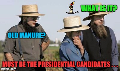 A not-so-fresh point of view | WHAT IS IT? OLD MANURE? MUST BE THE PRESIDENTIAL CANDIDATES . . . | image tagged in lol,funny,funny memes,amish,election | made w/ Imgflip meme maker
