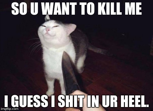 so you want to kill me? | SO U WANT TO KILL ME; I GUESS I SHIT IN UR HEEL. | image tagged in so you want to kill me | made w/ Imgflip meme maker