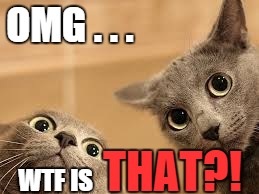 cats with large eyes | OMG . . . WTF IS THAT?! | image tagged in cats with large eyes | made w/ Imgflip meme maker