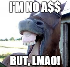horse laugh | I'M NO A$$ BUT, LMAO! | image tagged in horse laugh | made w/ Imgflip meme maker