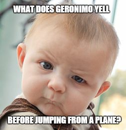 A reply to dbquacken meme... | WHAT DOES GERONIMO YELL; BEFORE JUMPING FROM A PLANE? | image tagged in memes,skeptical baby,philosoraptor,funny,universal question | made w/ Imgflip meme maker