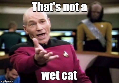 Picard Wtf Meme | That's not a wet cat | image tagged in memes,picard wtf | made w/ Imgflip meme maker