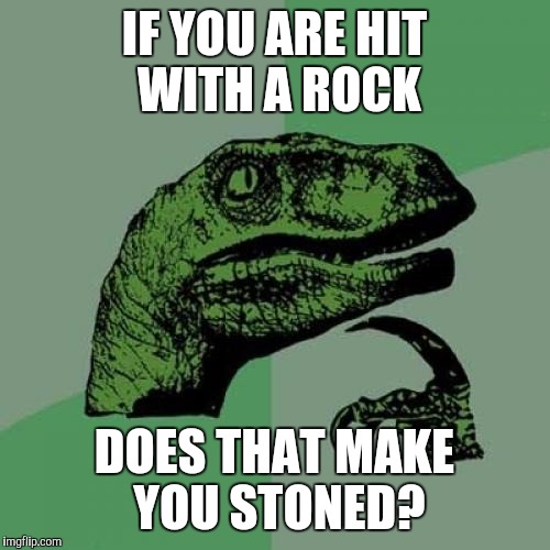Philosoraptor Meme | IF YOU ARE HIT WITH A ROCK; DOES THAT MAKE YOU STONED? | image tagged in memes,philosoraptor | made w/ Imgflip meme maker