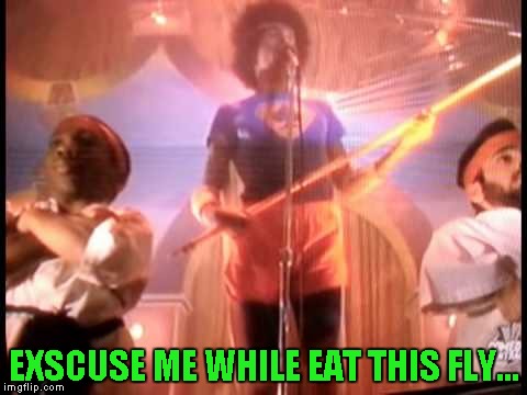 EXSCUSE ME WHILE EAT THIS FLY... | made w/ Imgflip meme maker