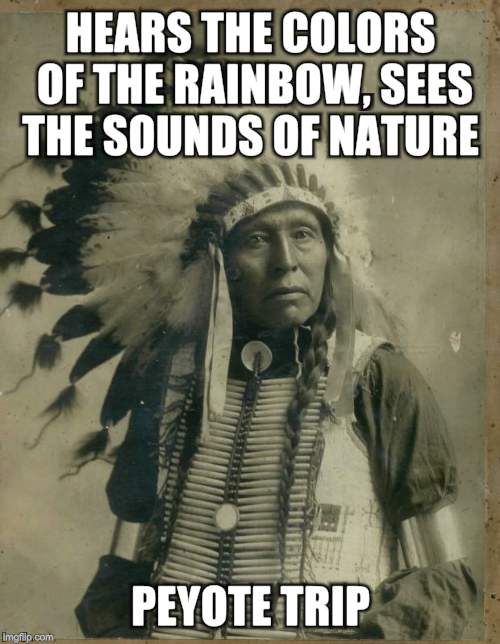 Indian Chief | HEARS THE COLORS OF THE RAINBOW, SEES THE SOUNDS OF NATURE; PEYOTE TRIP | image tagged in indian,drugs,first world problems,original meme,front page | made w/ Imgflip meme maker