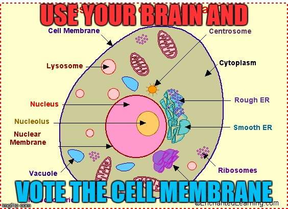 Cell Membrane | USE YOUR BRAIN AND; VOTE THE CELL MEMBRANE | image tagged in i too like to live dangerously | made w/ Imgflip meme maker