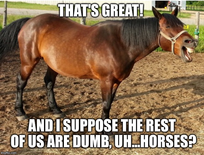 LAUGHING HORSE | THAT'S GREAT! AND I SUPPOSE THE REST OF US ARE DUMB, UH...HORSES? | image tagged in laughing horse | made w/ Imgflip meme maker