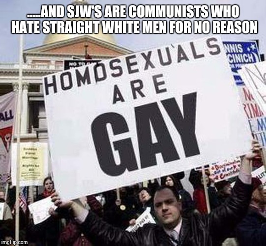 state the obvious guy | .....AND SJW'S ARE COMMUNISTS WHO HATE STRAIGHT WHITE MEN FOR NO REASON | image tagged in state the obvious guy | made w/ Imgflip meme maker