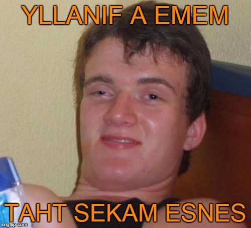 10 Guy Meme | YLLANIF A EMEM TAHT SEKAM ESNES | image tagged in memes,10 guy | made w/ Imgflip meme maker