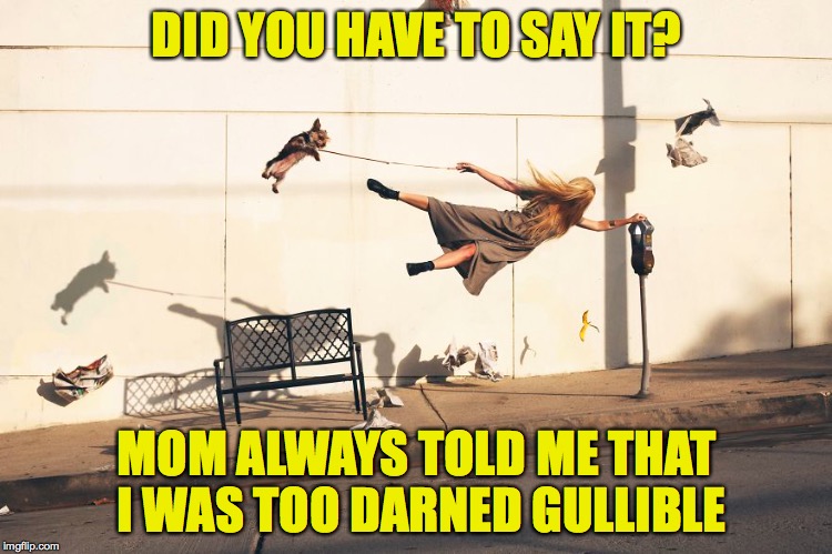 DID YOU HAVE TO SAY IT? MOM ALWAYS TOLD ME THAT I WAS TOO DARNED GULLIBLE | made w/ Imgflip meme maker