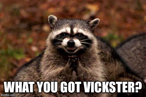 Evil Plotting Raccoon Meme | WHAT YOU GOT VICKSTER? | image tagged in memes,evil plotting raccoon | made w/ Imgflip meme maker