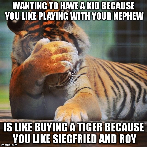 Facepalm Tiger | WANTING TO HAVE A KID BECAUSE YOU LIKE PLAYING WITH YOUR NEPHEW; IS LIKE BUYING A TIGER BECAUSE YOU LIKE SIEGFRIED AND ROY | image tagged in facepalm tiger | made w/ Imgflip meme maker