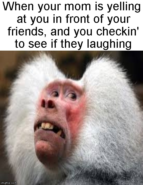 Aw mom, not in front of everybody! | When your mom is yelling at you in front of your friends, and you checkin' to see if they laughing | image tagged in funny memes,mom,yelling,friends,laughing | made w/ Imgflip meme maker