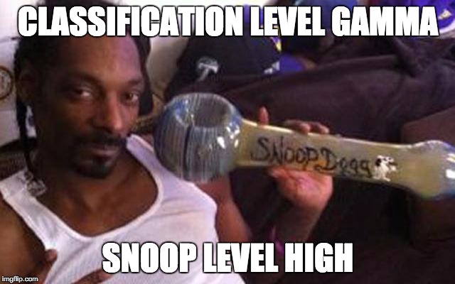 CLASSIFICATION LEVEL GAMMA; SNOOP LEVEL HIGH | image tagged in snoop level | made w/ Imgflip meme maker