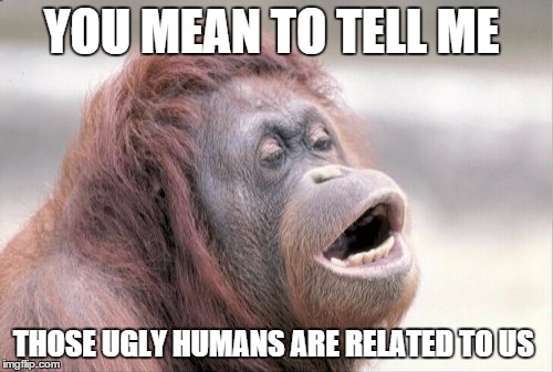 Monkey OOH Meme | YOU MEAN TO TELL ME; THOSE UGLY HUMANS ARE RELATED TO US | image tagged in memes,monkey ooh | made w/ Imgflip meme maker