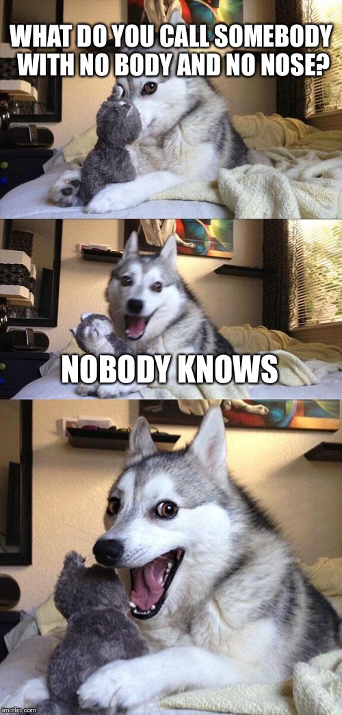 Bad Pun Dog | WHAT DO YOU CALL SOMEBODY WITH NO BODY AND NO NOSE? NOBODY KNOWS | image tagged in memes,bad pun dog | made w/ Imgflip meme maker