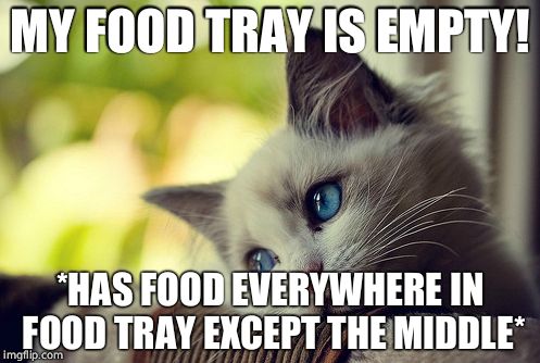 First World Problems Cat Meme | MY FOOD TRAY IS EMPTY! *HAS FOOD EVERYWHERE IN FOOD TRAY EXCEPT THE MIDDLE* | image tagged in memes,first world problems cat | made w/ Imgflip meme maker