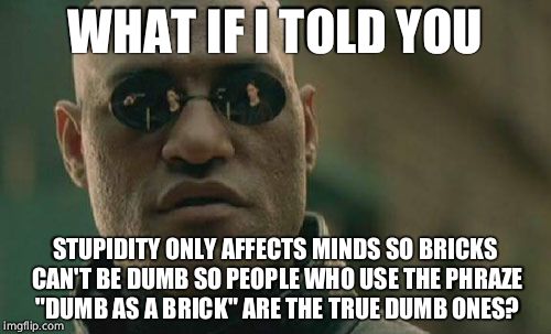 Matrix Morpheus Meme | WHAT IF I TOLD YOU STUPIDITY ONLY AFFECTS MINDS SO BRICKS CAN'T BE DUMB SO PEOPLE WHO USE THE PHRAZE "DUMB AS A BRICK" ARE THE TRUE DUMB ONE | image tagged in memes,matrix morpheus | made w/ Imgflip meme maker