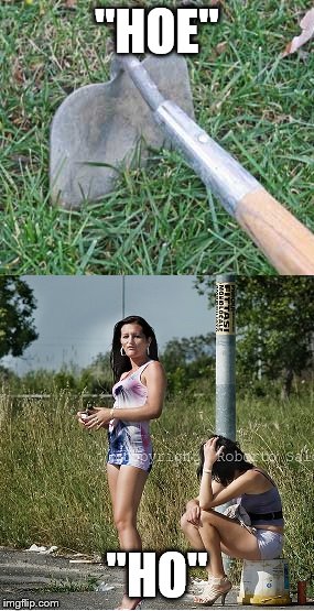 Ho / Hoe | "HOE" "HO" | image tagged in ho / hoe | made w/ Imgflip meme maker