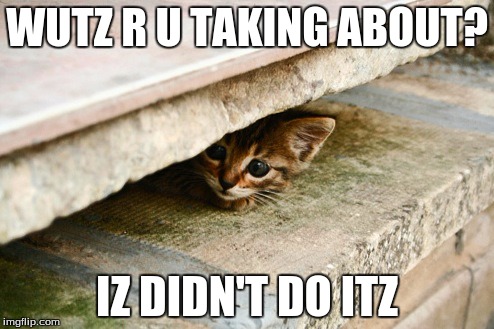 WUTZ R U TAKING ABOUT? IZ DIDN'T DO ITZ | image tagged in i didn't do nothingz | made w/ Imgflip meme maker