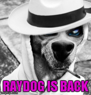 RAYDOG IS BACK | made w/ Imgflip meme maker