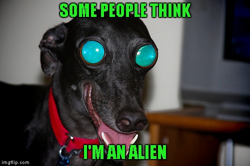 SOME PEOPLE THINK I'M AN ALIEN | made w/ Imgflip meme maker