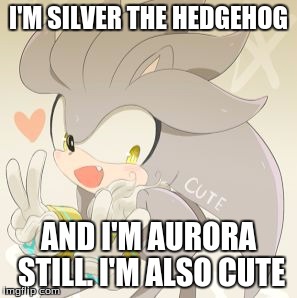 I'M SILVER THE HEDGEHOG; AND I'M AURORA STILL. I'M ALSO CUTE | image tagged in silver the hedgehog | made w/ Imgflip meme maker