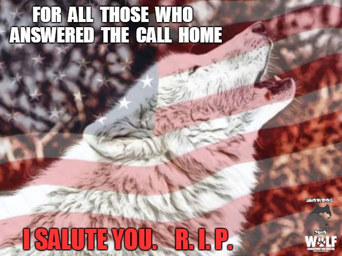 Salute | FOR  ALL  THOSE  WHO  ANSWERED  THE  CALL  HOME; I SALUTE YOU.    R. I. P. | image tagged in political | made w/ Imgflip meme maker