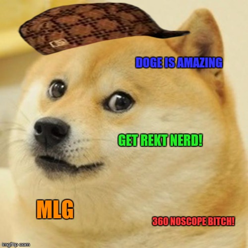 Doge Meme | DOGE IS AMAZING; GET REKT NERD! MLG; 360 NOSCOPE BITCH! | image tagged in memes,doge,scumbag | made w/ Imgflip meme maker