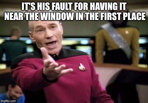 Picard Wtf Meme | IT'S HIS FAULT FOR HAVING IT NEAR THE WINDOW IN THE FIRST PLACE | image tagged in memes,picard wtf | made w/ Imgflip meme maker