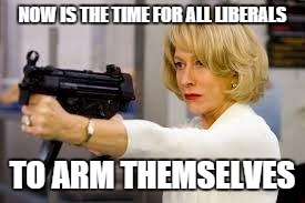 Helen Mirren Guns for Warren Rodwell | NOW IS THE TIME FOR ALL LIBERALS; TO ARM THEMSELVES | image tagged in helen mirren guns for warren rodwell | made w/ Imgflip meme maker