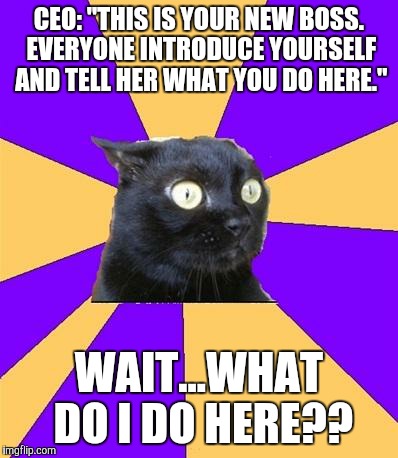 "I'm a professional imgflipper!" |  CEO: "THIS IS YOUR NEW BOSS. EVERYONE INTRODUCE YOURSELF AND TELL HER WHAT YOU DO HERE."; WAIT...WHAT DO I DO HERE?? | image tagged in social anxiety cat,work sucks | made w/ Imgflip meme maker