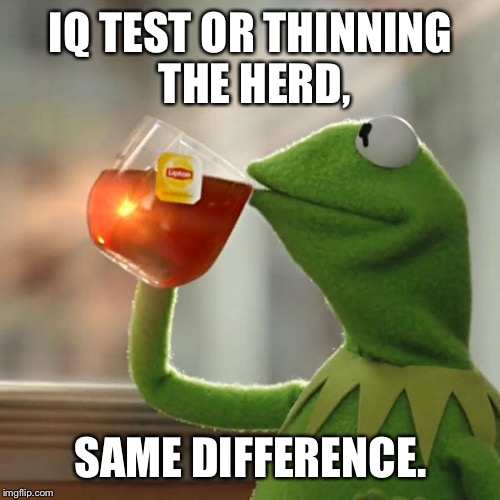 But That's None Of My Business Meme | IQ TEST OR THINNING THE HERD, SAME DIFFERENCE. | image tagged in memes,but thats none of my business,kermit the frog | made w/ Imgflip meme maker