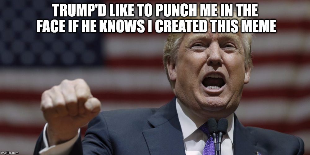 i'd like to punch him in the face | TRUMP'D LIKE TO PUNCH ME IN THE FACE IF HE KNOWS I CREATED THIS MEME | image tagged in i'd like to punch him in the face | made w/ Imgflip meme maker