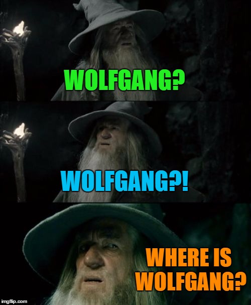 Confused Gandalf Meme | WOLFGANG? WOLFGANG?! WHERE IS WOLFGANG? | image tagged in memes,confused gandalf | made w/ Imgflip meme maker