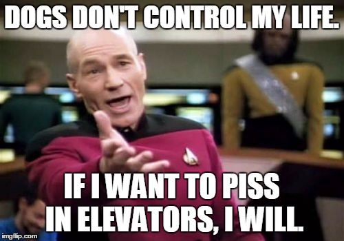 Picard Wtf Meme | DOGS DON'T CONTROL MY LIFE. IF I WANT TO PISS IN ELEVATORS, I WILL. | image tagged in memes,picard wtf | made w/ Imgflip meme maker